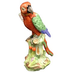 19th Century Samson Parrot