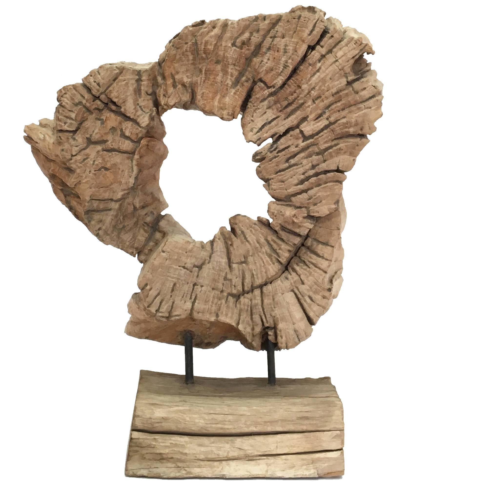 Large Mid-Century Mounted Driftwood Sculpture