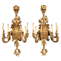 Palatial Pair of French 19th Century Louis XV Style Giltwood Carved Wall Lights