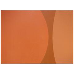 Pointillism Orange Enamel Painting on Aluminum Sheet by James Goodwill