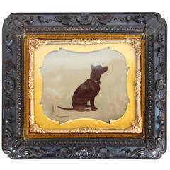 Antique Little Black Dog Tintype in Ornate Wood Frame