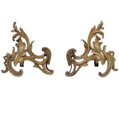 Antique French Louis XVI Bronze Chenet Andiron Pair from a Normandy Chateau