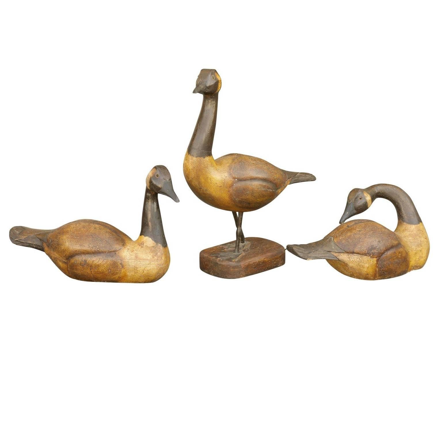 Set of Three 1900s Life-Size Wood Carved Black-Necked Painted Geese 