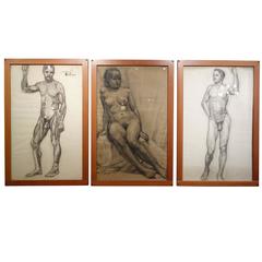 Set of Three Nude Study Pencil Sketches