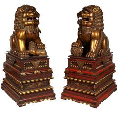 Pair of Very Impressive and Massive Carved Wood Foo Dogs, circa 1920