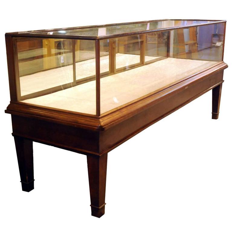 Large Oak Display circa 1905 at 1stdibs