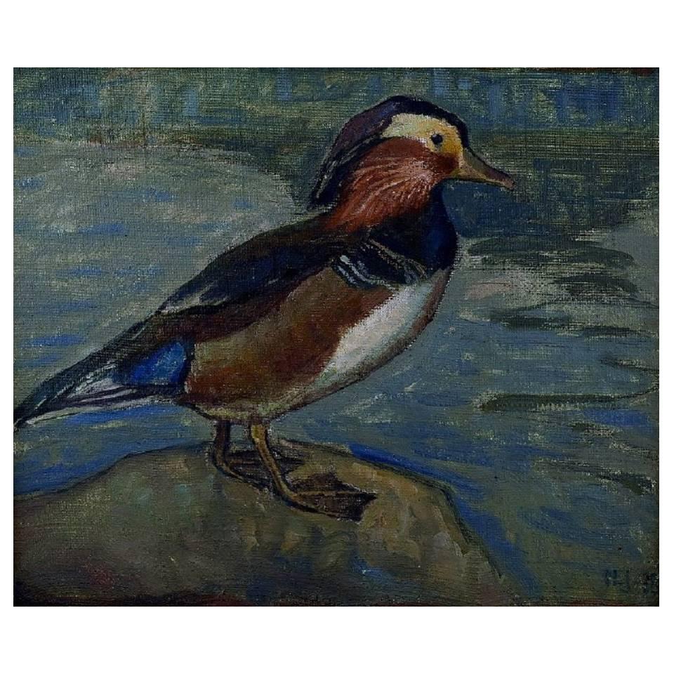 Danish Artist, Dated 1918 Mandarin Duck, Oil on Canvas