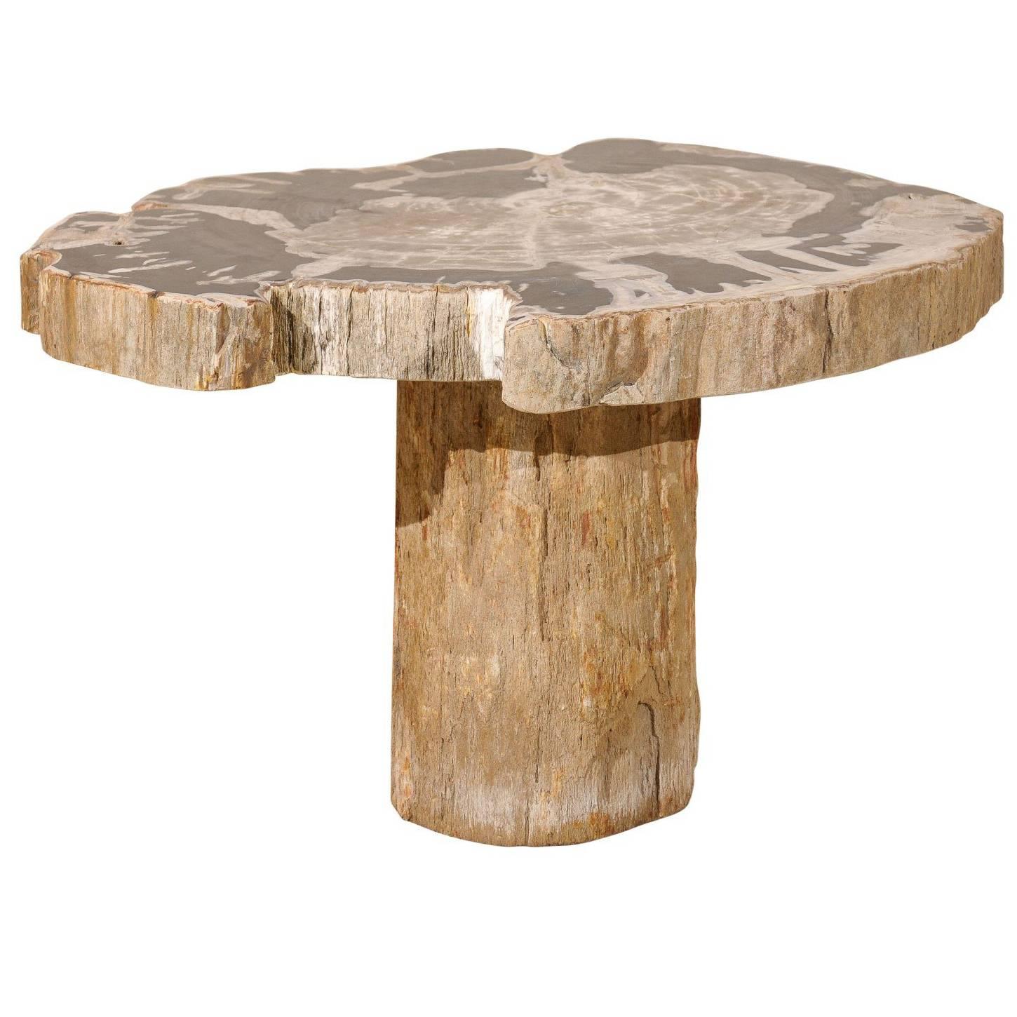 Natural Petrified Wood Coffee, Drink or Side Table in Black, White and Grey