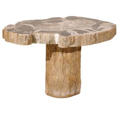 Natural Petrified Wood Coffee, Drink or Side Table in Black, White and Grey