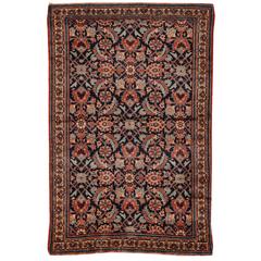 Exceptional Antique Herat Rug