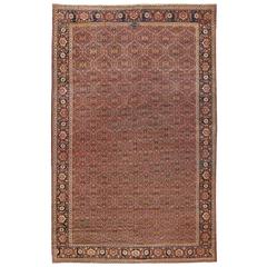 Exceptional Extremely Finely Woven Antique Herat Carpet