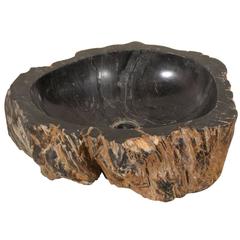 Vintage Black Polished Petrified Wood Sink Ready for a Vanity
