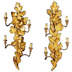 Pair of Italian Giltwood and Tole Sconces