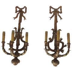 Pair of Large Gilt Iron Three Light Wall Applique Sconces