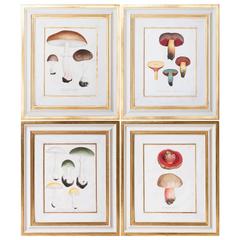 Set of 24 First Edition Prints of Mushrooms in Handmade Gessoed Frames, Pub.1832