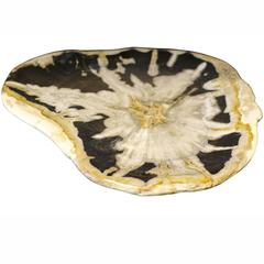 Petrified Wood Flat Tray, Indonesia, Contemporary