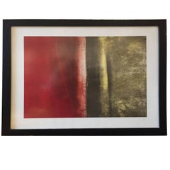 Limited Edition Etching Monoprint By Colin Gale