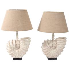 Composition Shell Lamps