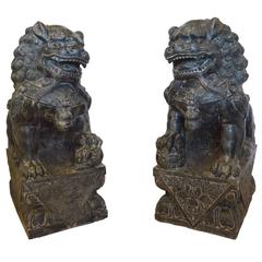 Large Carved Granite or Stone Chinese Foo Dogs