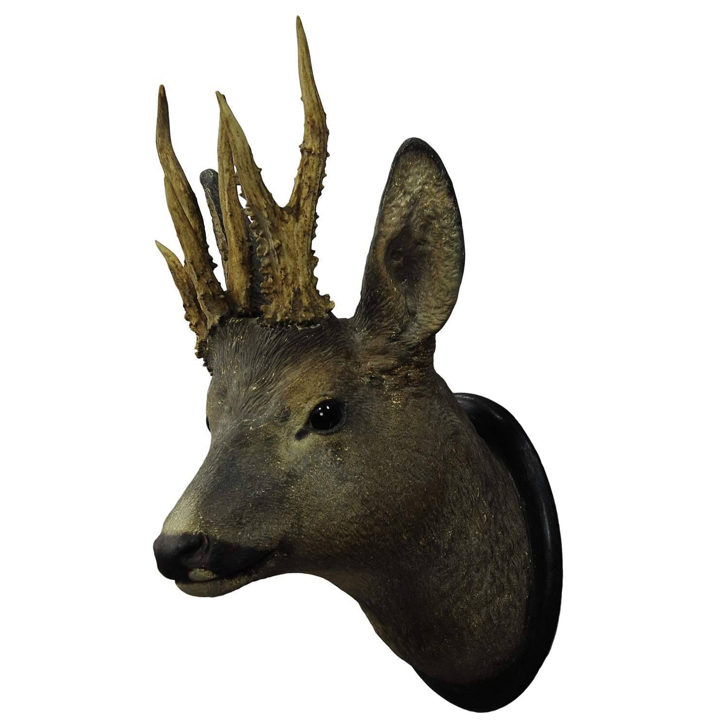 Manorial Black Forest Deer Head with Abnorm Antlers