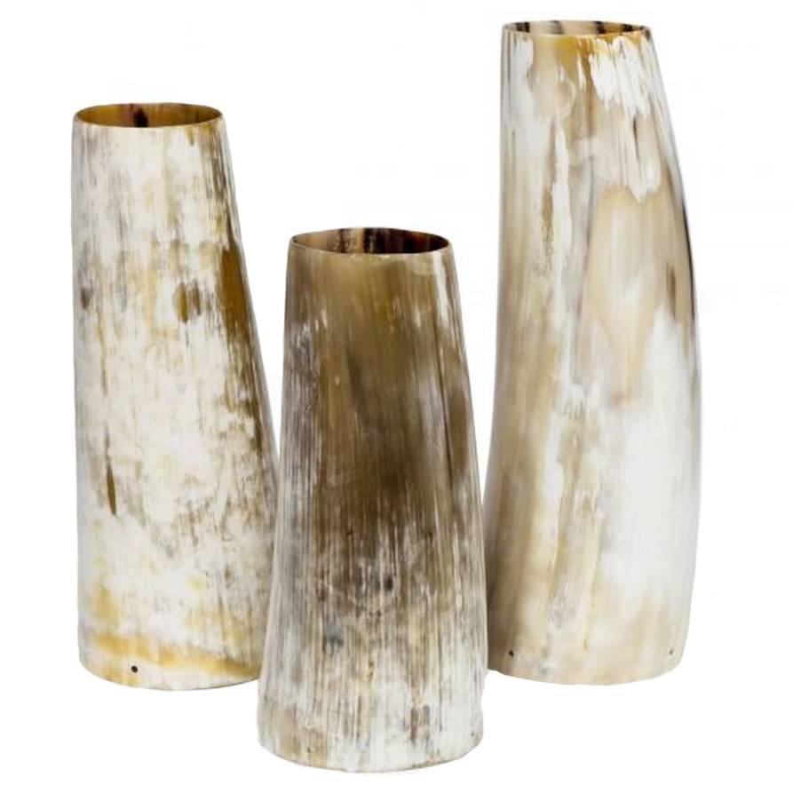 Natural Buffalo Horn Vases, Set of Three For Sale