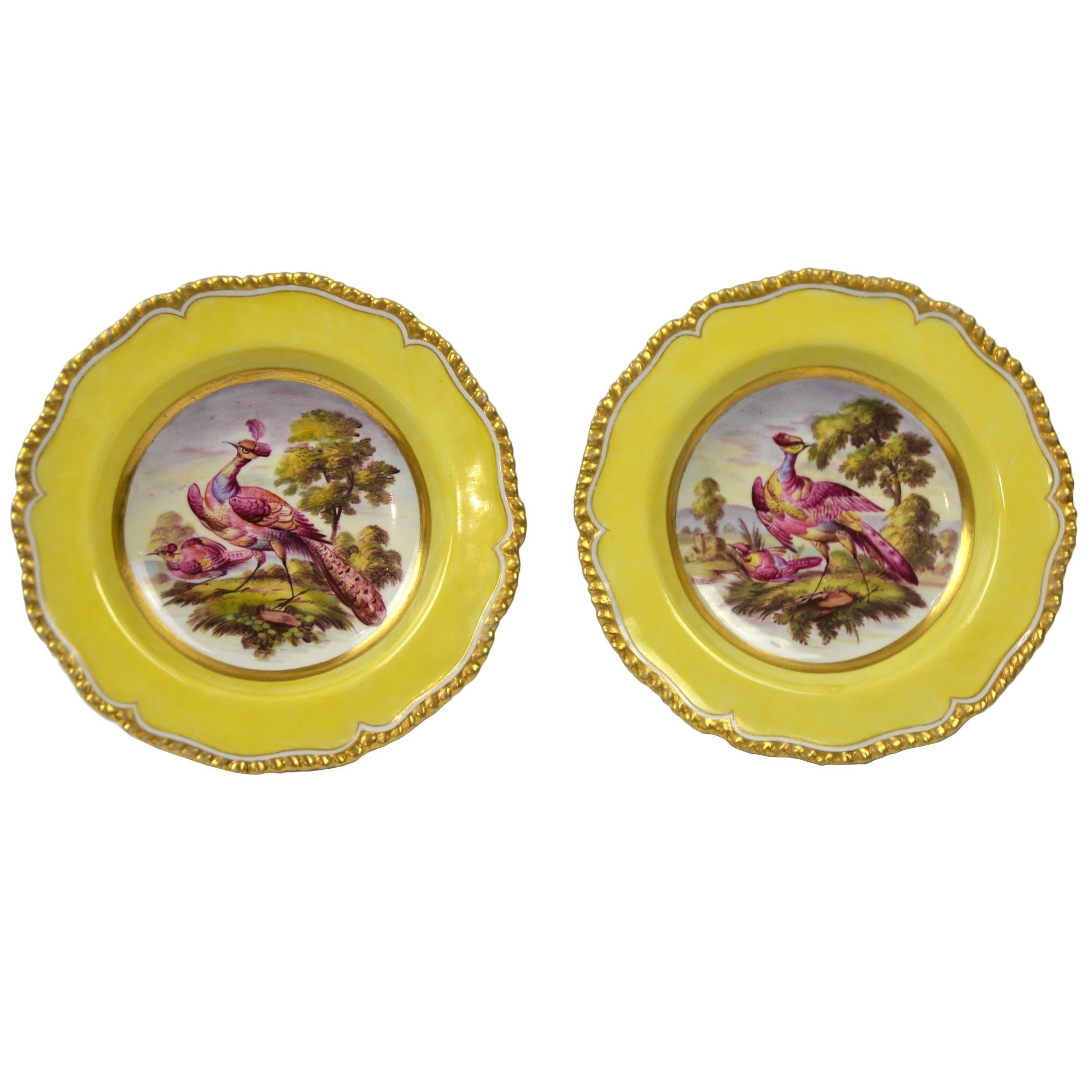 Pair of Flight Barr and Barr Worcester Berry Plates For Sale