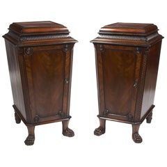 19th Century Regency Pair of Mahogany Pedestal Cabinets