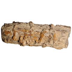 Chinese Petrified Log 6