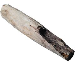 Chinese Petrified Log 5