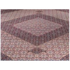 Meshed Rugs