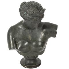 Bronze Bust of Diana 3