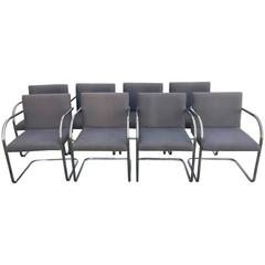 1980s Mies Van Der Rohe Chrome Tubular Brno Chairs, Set of Eight 1980s Mies Van Der Rohe Chrome Tubular Brno Chairs, Set of Eight