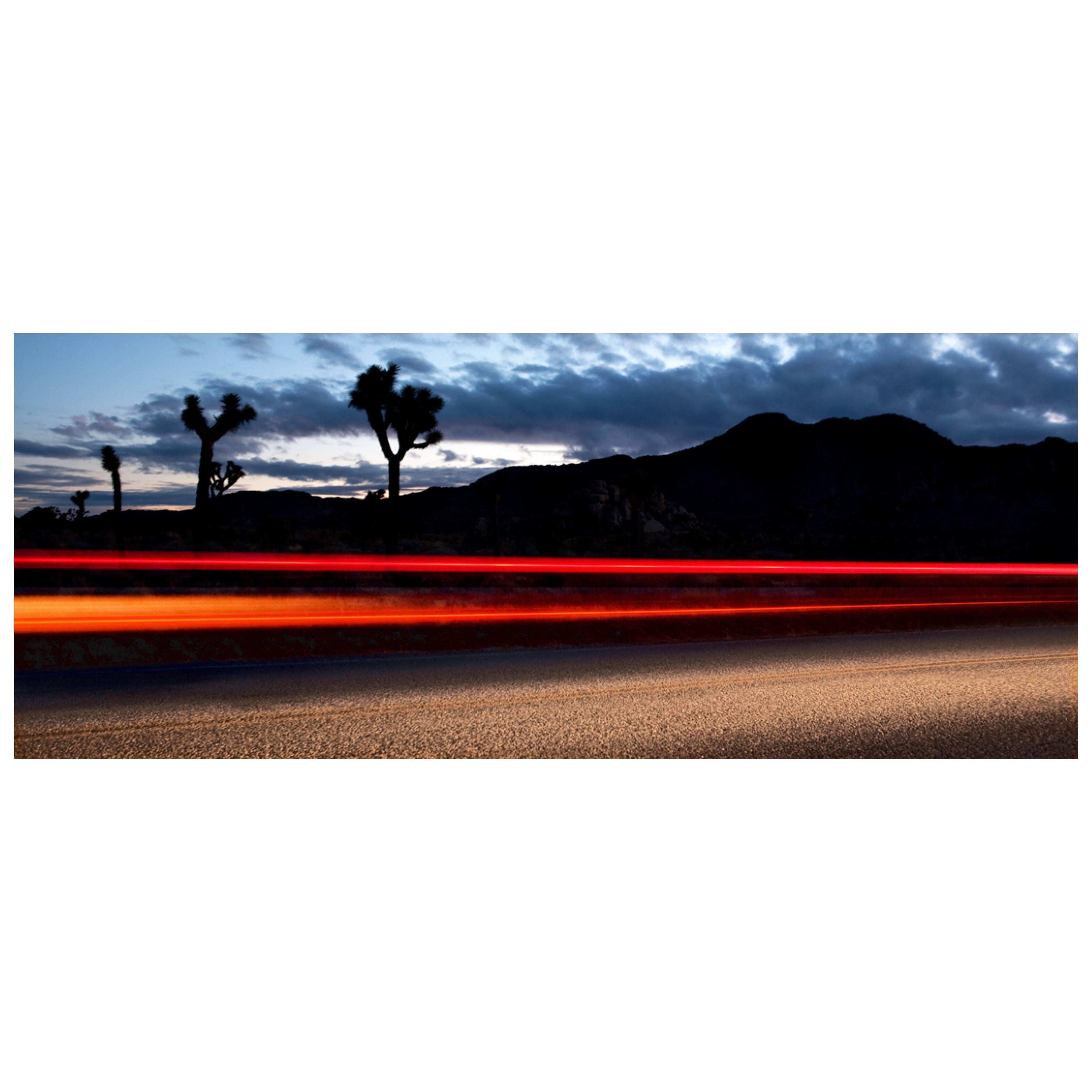 Nicola Majocchi "Joshua Tree 2013" Photograph on Metallic Paper For Sale