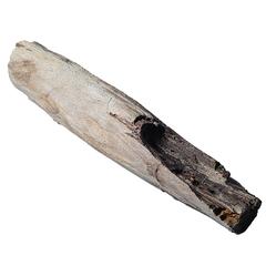 "Tree Jade" Petrified Wood Specimen 2