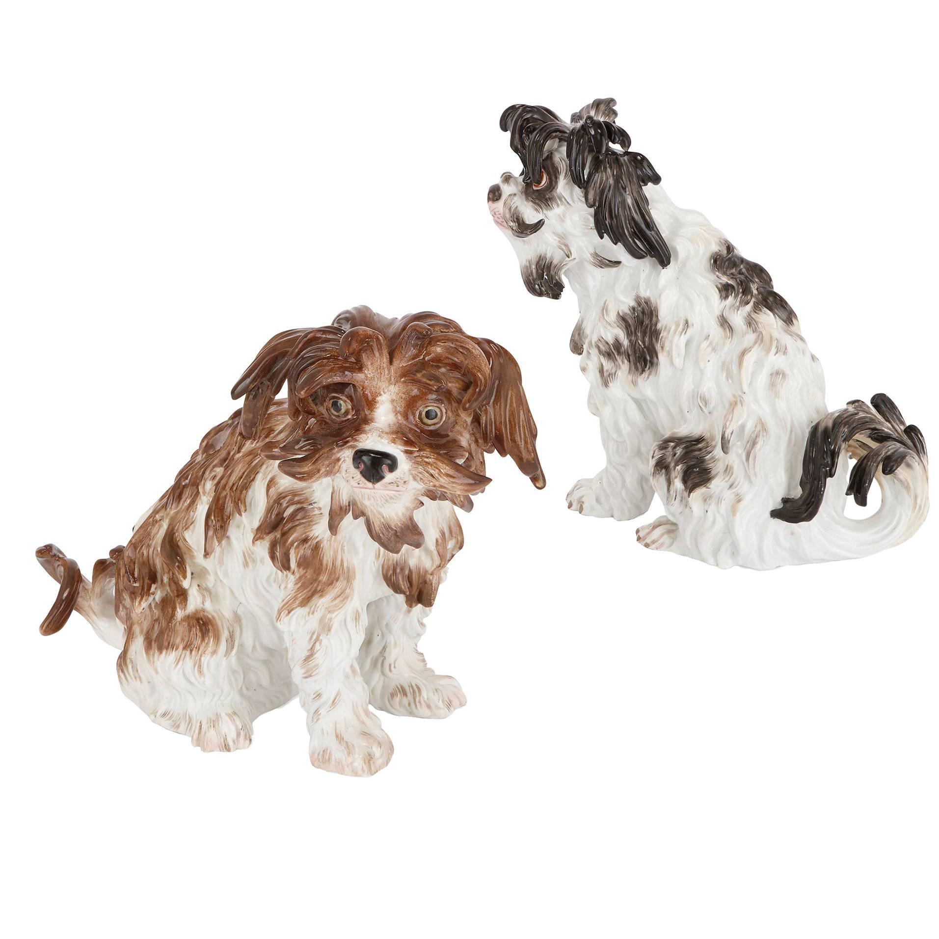 Pair of Antique Meissen Porcelain Models of Bolognese Terriers