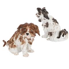 Pair of Antique Meissen Porcelain Models of Bolognese Terriers 3