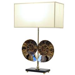 Exclusive 'Ammoniti' Table Lamp 4