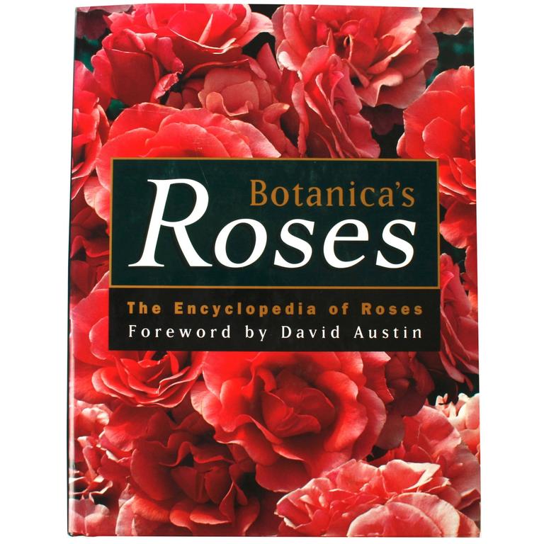 in the name of the rose book in the name of the rose book