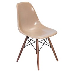 Vintage Eames Fiberglass Greige Shell Chair on Walnut Dowel Base