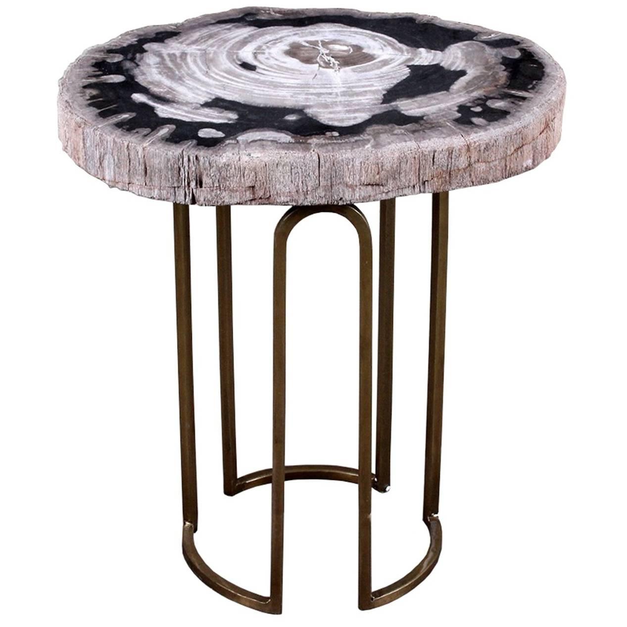 Custom Petrified Wood and Brass Accent Table