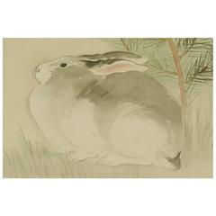 Japan Big Rabbit Vintage Hand Painted Silk Scroll Signed 70 years old