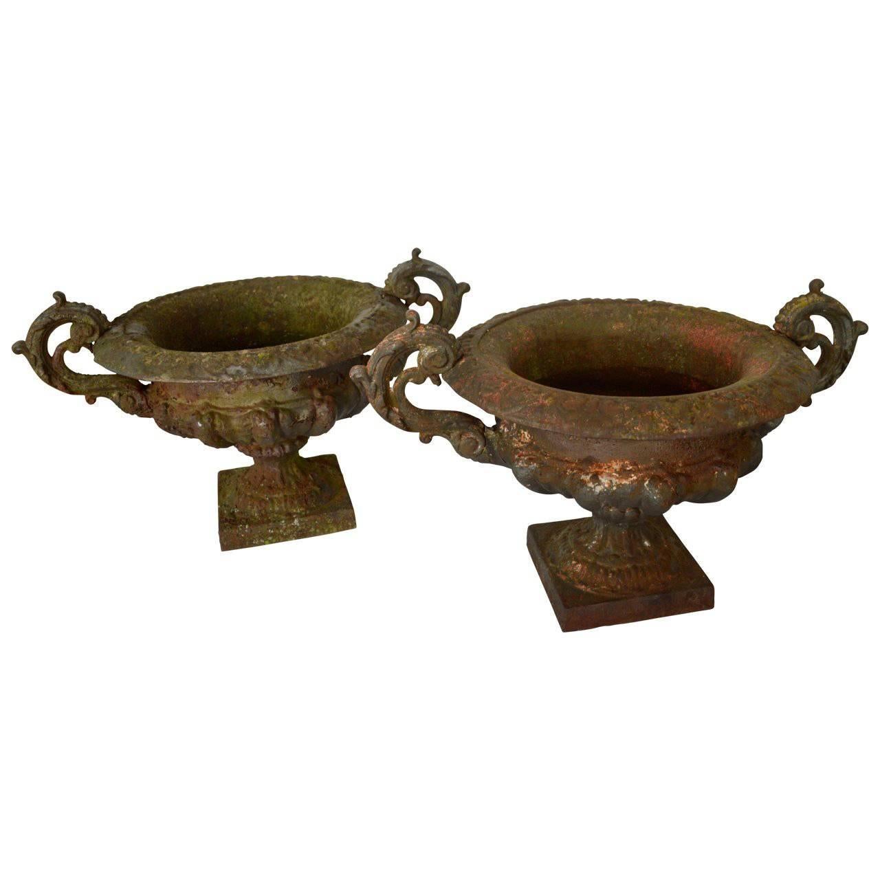 Pair of 19th Century French Cast Iron Planters or Urns