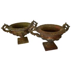 Pair of 19th Century French Cast Iron Planters or Urns