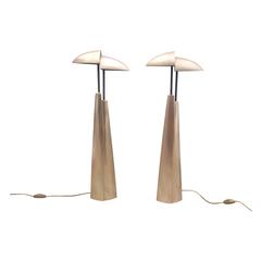 Amazing Pair of Bronze Table Lamps, Mid-Century Modern