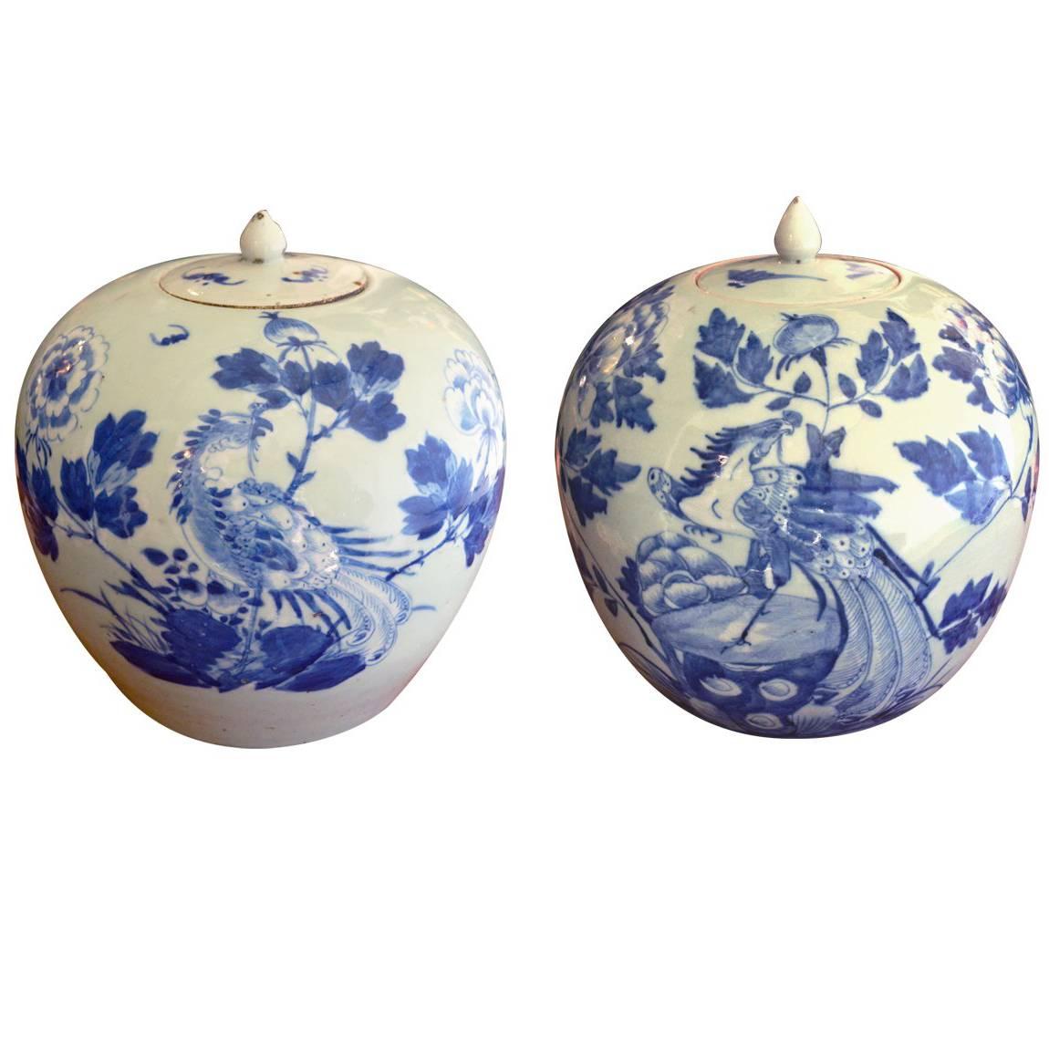 Antique Matching Pair of Chinese Blue and White Porcelain Jars/Urns