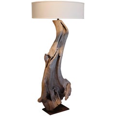 Driftwood Floor Lamp