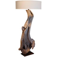Driftwood Floor Lamp