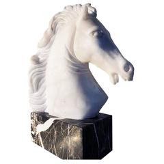 Neoclassical Marble Horse Head