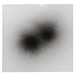 Carbon on Aluminum Panel by Norman Mooney 2
