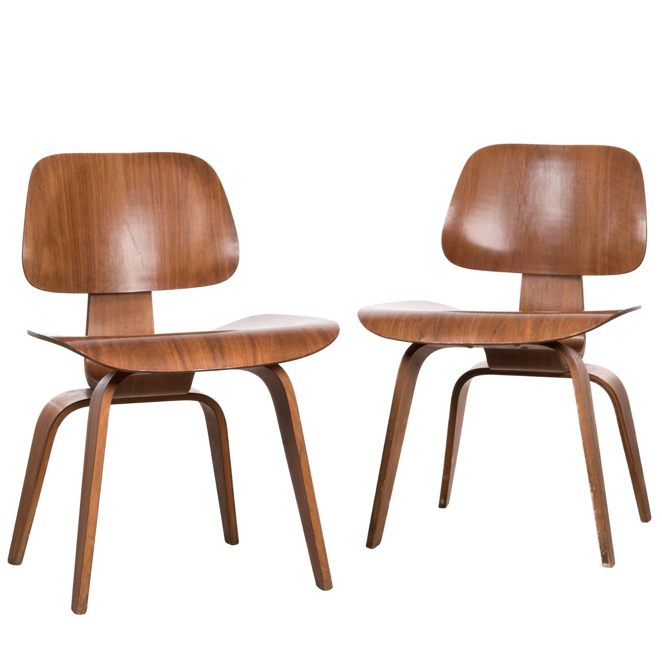 Eames DCW Walnut Dining Chair for Herman Miller